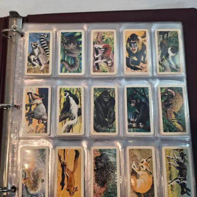 Sale Photo Thumbnail #161