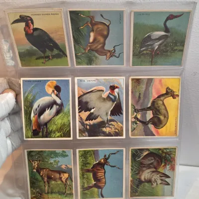 Sale Photo Thumbnail #101