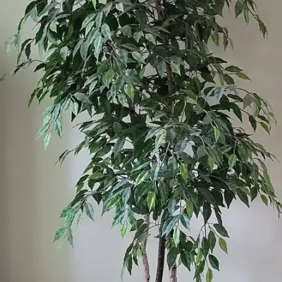Large Faux Plant (LR)
