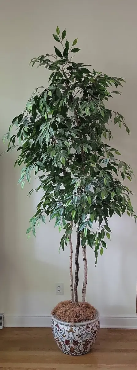 Large Faux Plant (LR)
