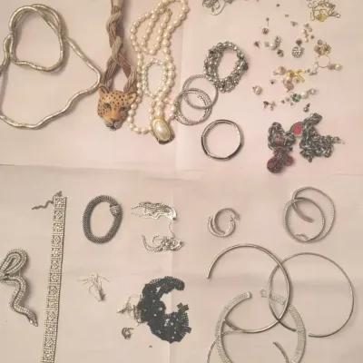 Costume Jewelry Mystery Lot (LR)