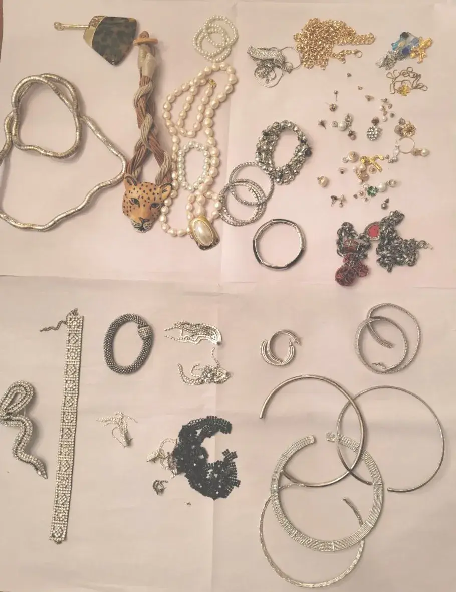 Costume Jewelry Mystery Lot (LR)