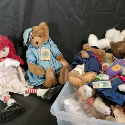 Rag Dolls, Teddy Bears & Stuffed Animals | Assorted Collection With Storage Tub