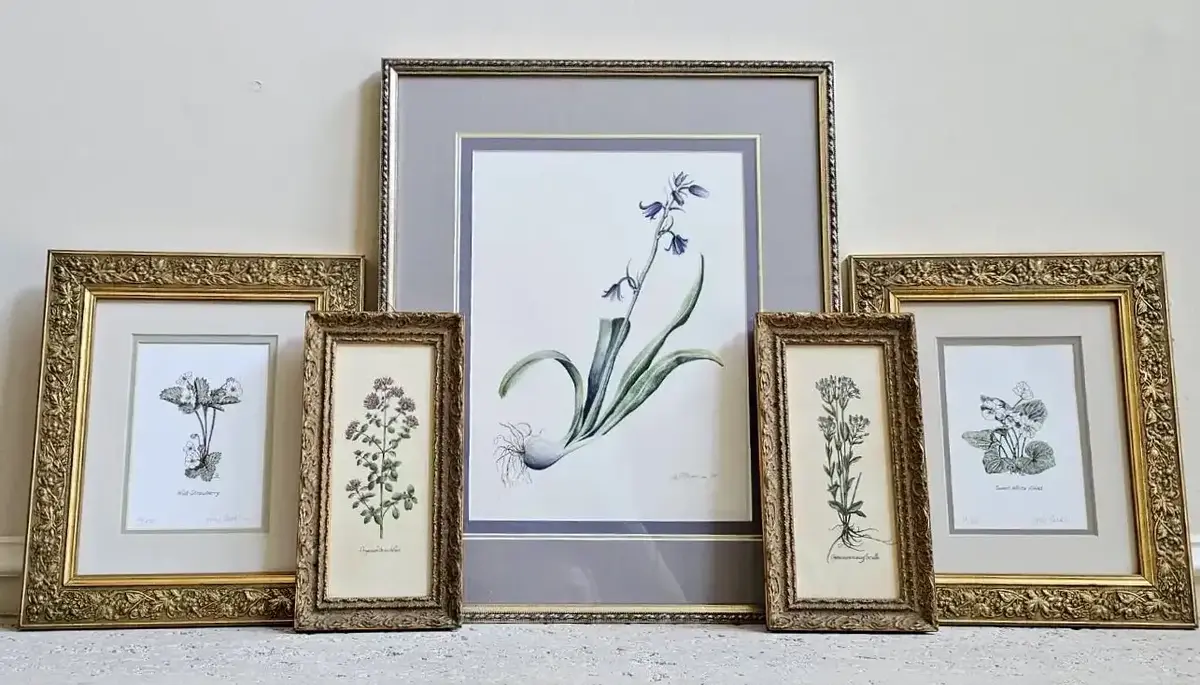 Mev Rozsman Original & Limited Edition Botanical Prints