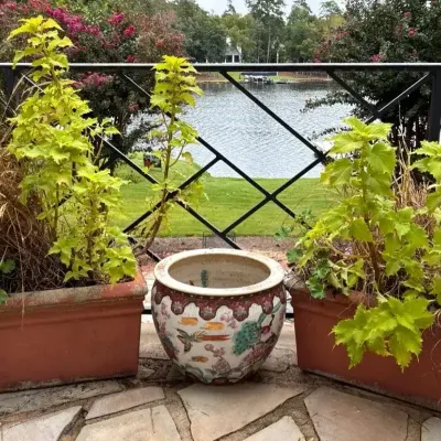 Terra-Cotta Planters & Decorative Ceramic Pot