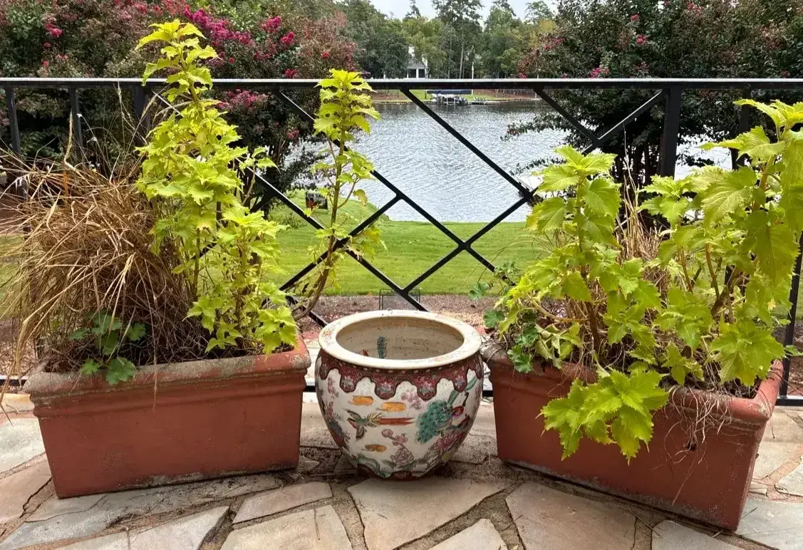 Terra-Cotta Planters & Decorative Ceramic Pot