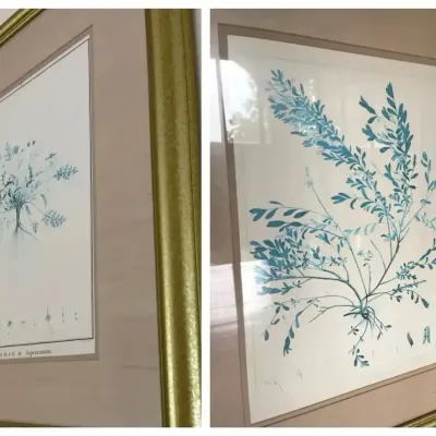 Pair of Framed Botanical Prints in Turquoise & Teal