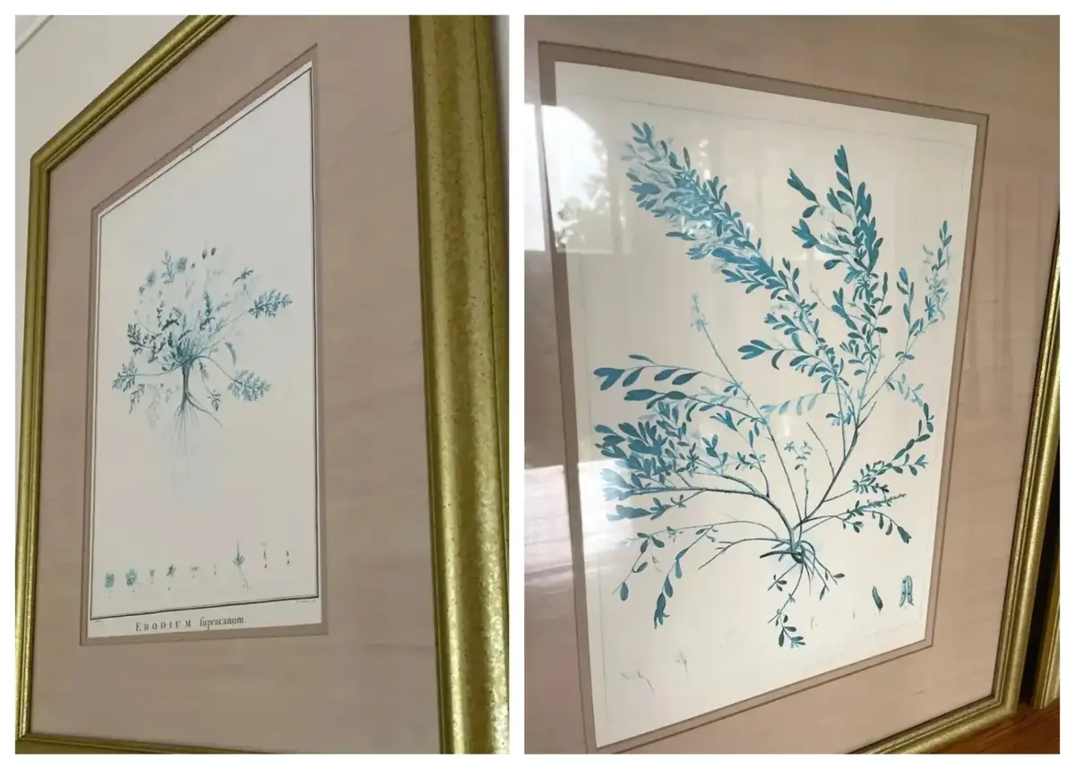 Pair of Framed Botanical Prints in Turquoise & Teal