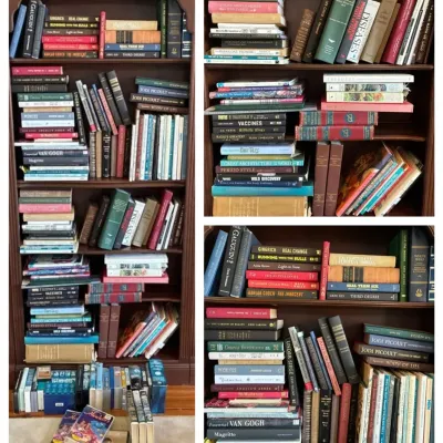 Hardback Books, Reference & Disney VHS