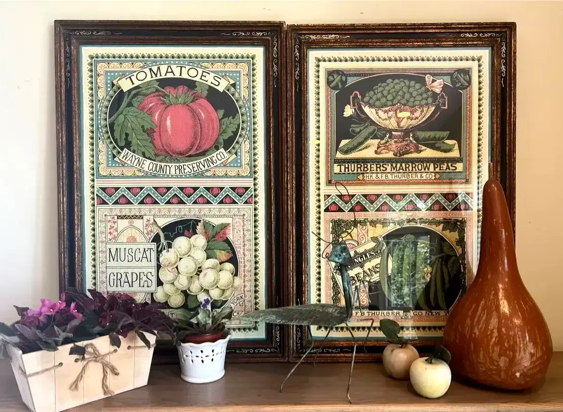 Framed Produce Prints, African Violets & Decor