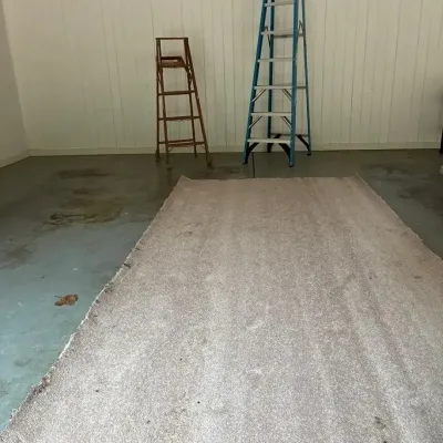 Werner Ladders & Beige Carpet Remnant