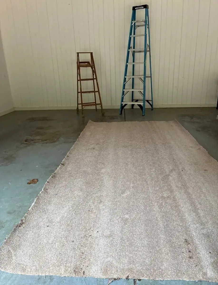 Werner Ladders & Beige Carpet Remnant