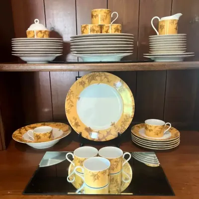 Mikasa Parkville Auburn Fine China Dinnerware