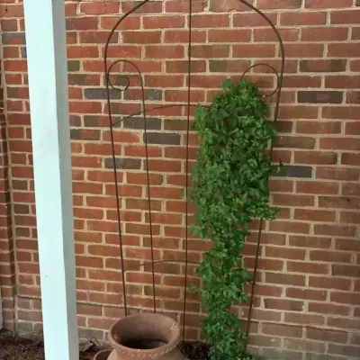 Wrought Iron Garden Trellis & Terra-Cotta Strawberry Pot