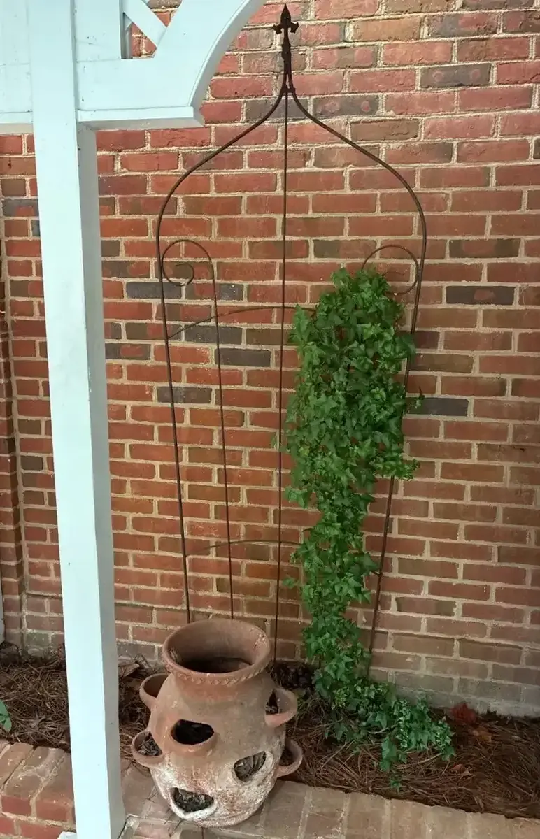 Wrought Iron Garden Trellis & Terra-Cotta Strawberry Pot