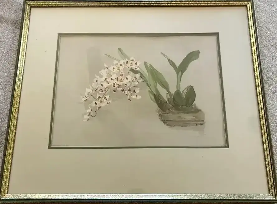 Henry George Moon Signed Botanical Orchid Print With COA
