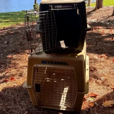 Petmate Vari Kennel & Sky Kennel Pet Carriers