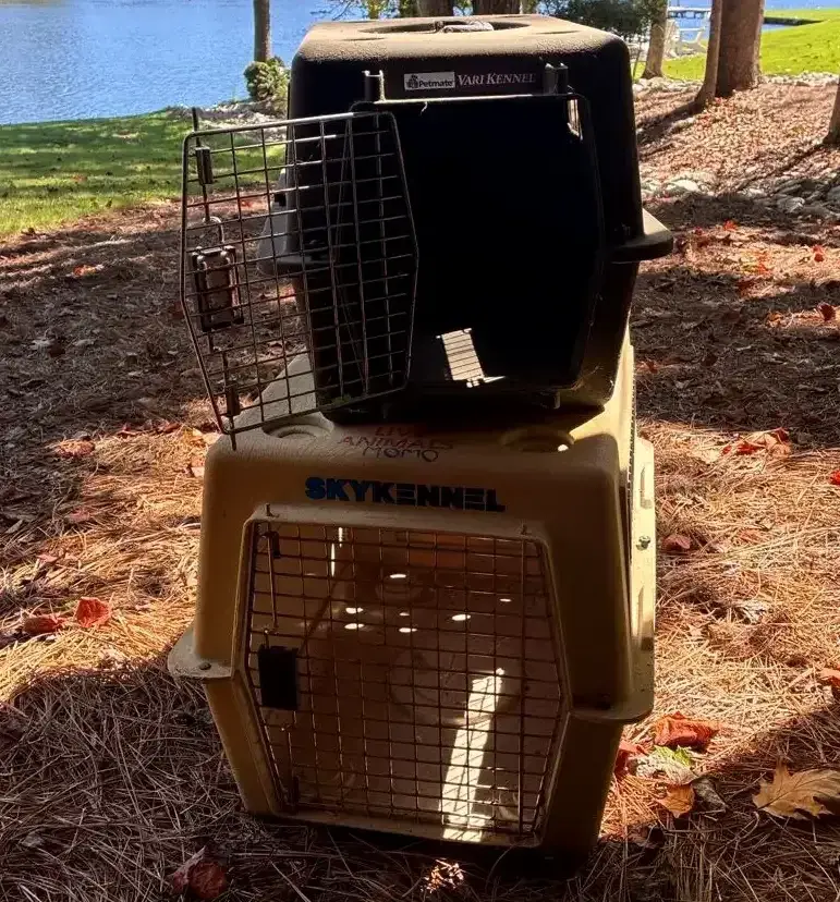 Petmate Vari Kennel & Sky Kennel Pet Carriers
