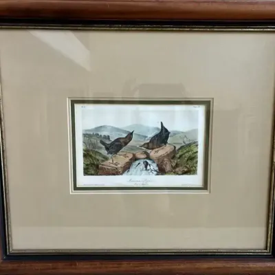 John James Audubon “American Dipper” Hand-Colored Lithograph