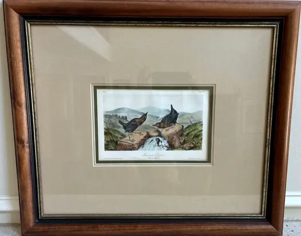 John James Audubon “American Dipper” Hand-Colored Lithograph