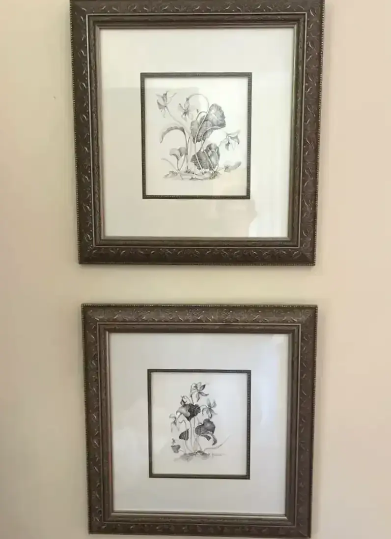 Pair of Mev Rozsman Signed Original Botanical Drawings