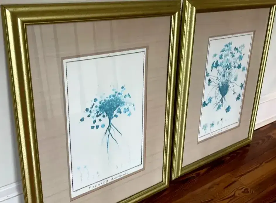 Pair of Turquoise & Teal Botanical Prints