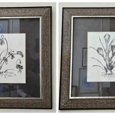 Mev Rozsman “Crocus” & “Violets I” Original Botanical Art with COA