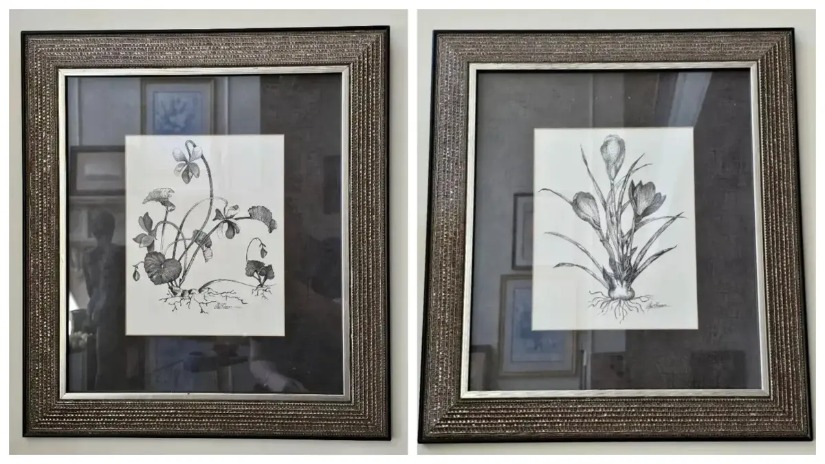 Mev Rozsman “Crocus” & “Violets I” Original Botanical Art with COA