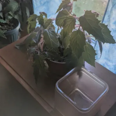 Sale Photo Thumbnail #180