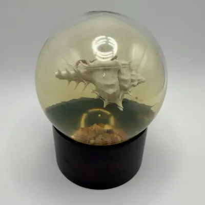Vintage Nature Gems Educational Embedments Hermit Crab Paperweight