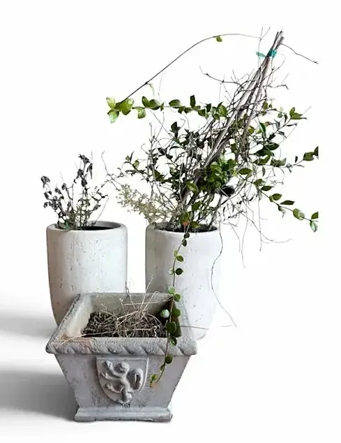 Three Cast Stone-Look Planters with Plants