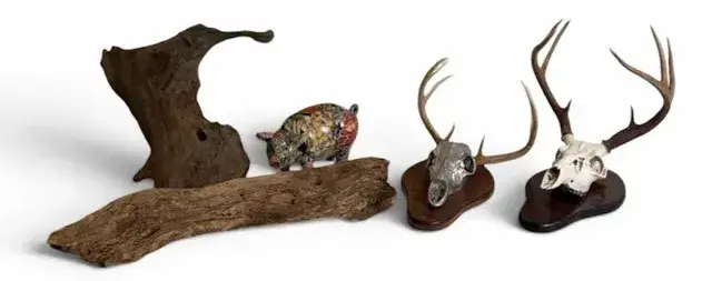 Rustic Decor Lot with Deer Skull Mounts 