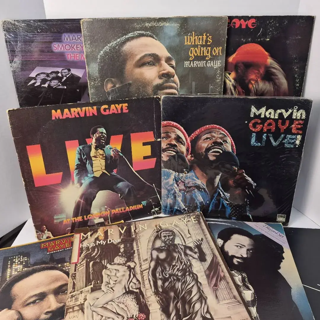 Vintage Vinyl: Marvin Gaye Collection