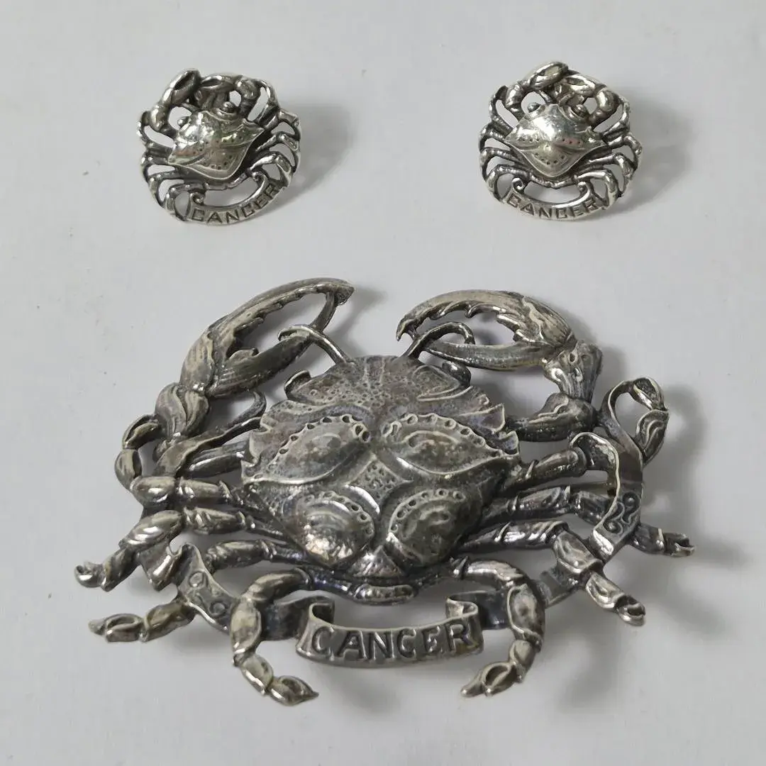 Sterling Silver Cini Cancer Zodiac Crab Brooch & Earring Set