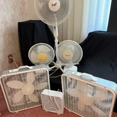 Variety of Fans 