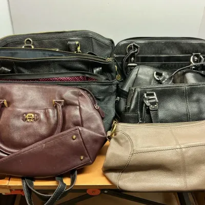 Purses Including Fossil