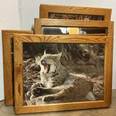 Four Custom Made Oak Wood Frames