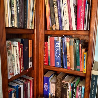 Sale Photo Thumbnail #82: A collection of vintage and modern hardcover books, including reference guides, dictionaries, and literature, arranged on wooden bookshelves.
