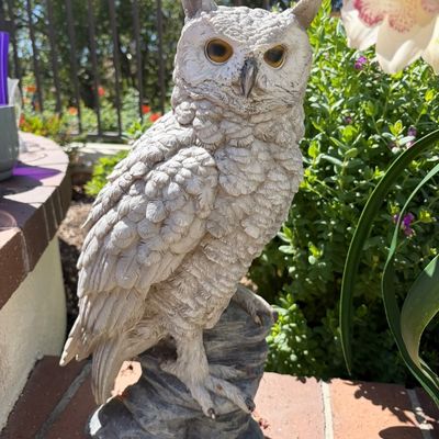 Sale Photo Thumbnail #19: Detailed resin or concrete owl garden statue perched on a faux rock base, featuring realistic feather textures and amber-colored eyes.