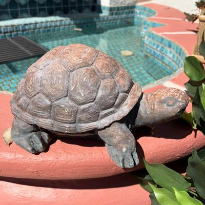 Sale Photo Thumbnail #21: Weathered cast stone turtle garden statue with a textured shell and natural patina, shown resting on a fountain ledge.