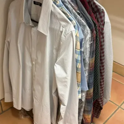 11 Men’s Button Up Shirts - Size L/XL, Evolved, Jos A Bank, Rowm, Brandini