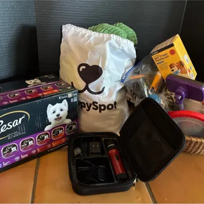Pet Care - Cesar Wet Dog Food, Sminiker Clippers Set, Grooming, Toys, Leash