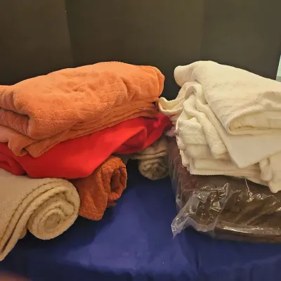 Comfy Blankets - Sunbeam Electric Heating Blanket, Wood Tray