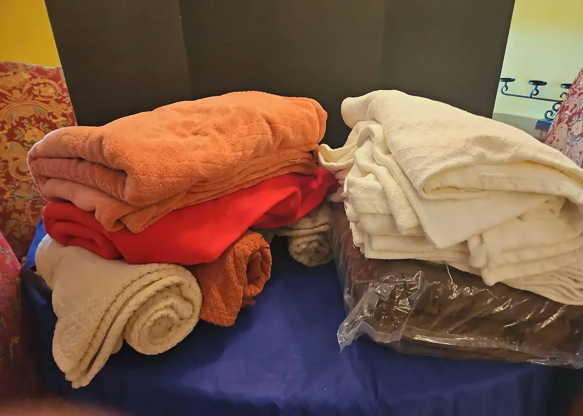 Comfy Blankets - Sunbeam Electric Heating Blanket, Wood Tray