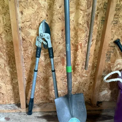 Ames round point shovel with a fiberglass handle alongside a pair of heavy-duty bypass loppers, both showing light signs of use.