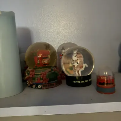 Collection of novelty snow globes, including a Friends-themed "Holiday Armadillo" globe and a festive train-shaped globe.