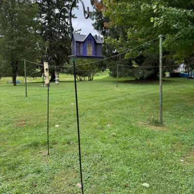 Two black metal shepherd's hook garden poles, one holding a purple house-shaped bird feeder and the other holding tube feeders, set...