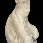 Vintage Royal Copenhagen ceramic polar bear figurine depicted in a roaring or howling pose with an open mouth, featuring a textured white...