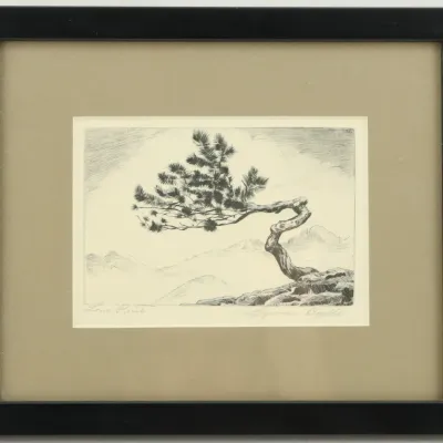 Sale Photo Thumbnail #643