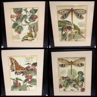 4 Vintage Butterfly and Dragonfly Prints